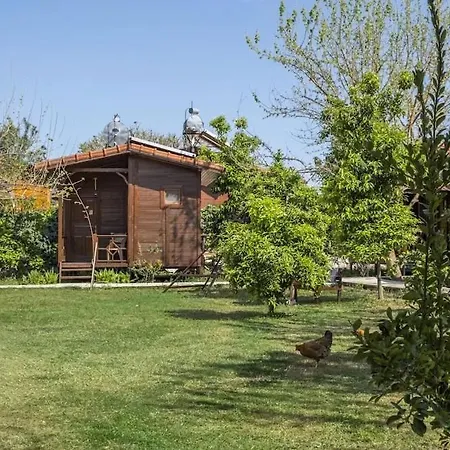 Apart-hotel şehri çıralı *