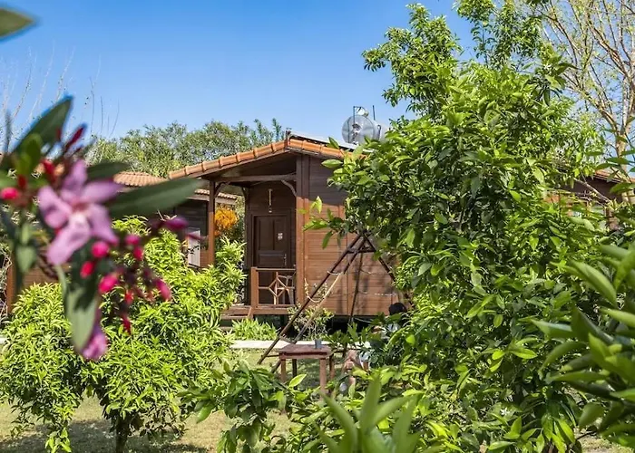 Sehri Cirali מלון דירות