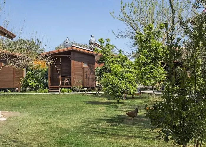 Lägenhetshotell Sehri Cirali *